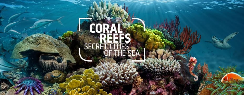 Exhibition on the secret cities of the sea in London 2015