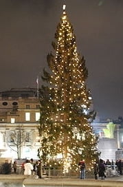 When will the Christmas Tree at Trafalgar Square be lit up in 2014?