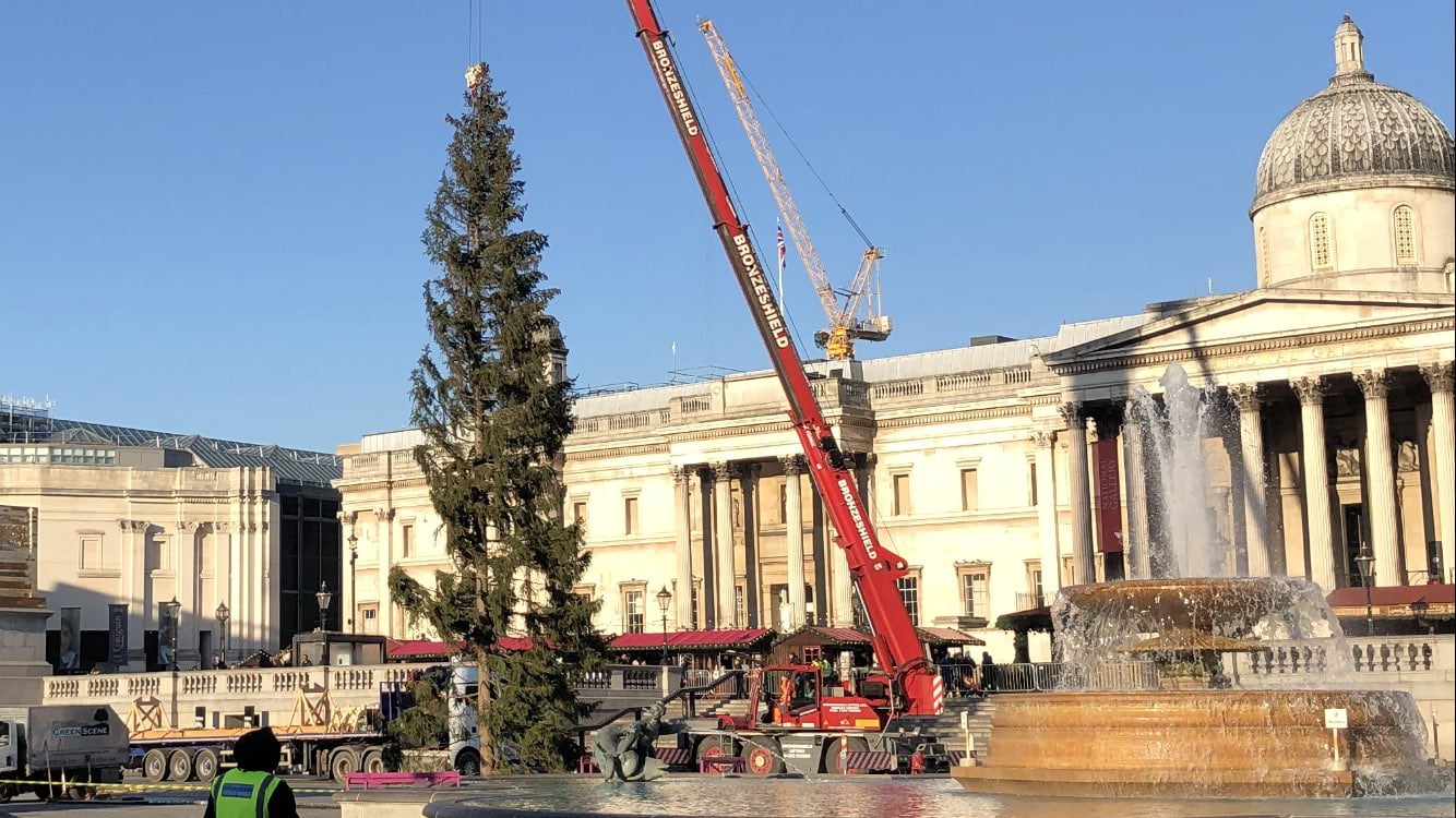 The Christmas tree at Trafalgar Square is shining!